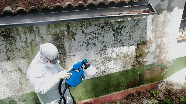 Top rated local Mold Inspection And Testing specialists in Paris, KY